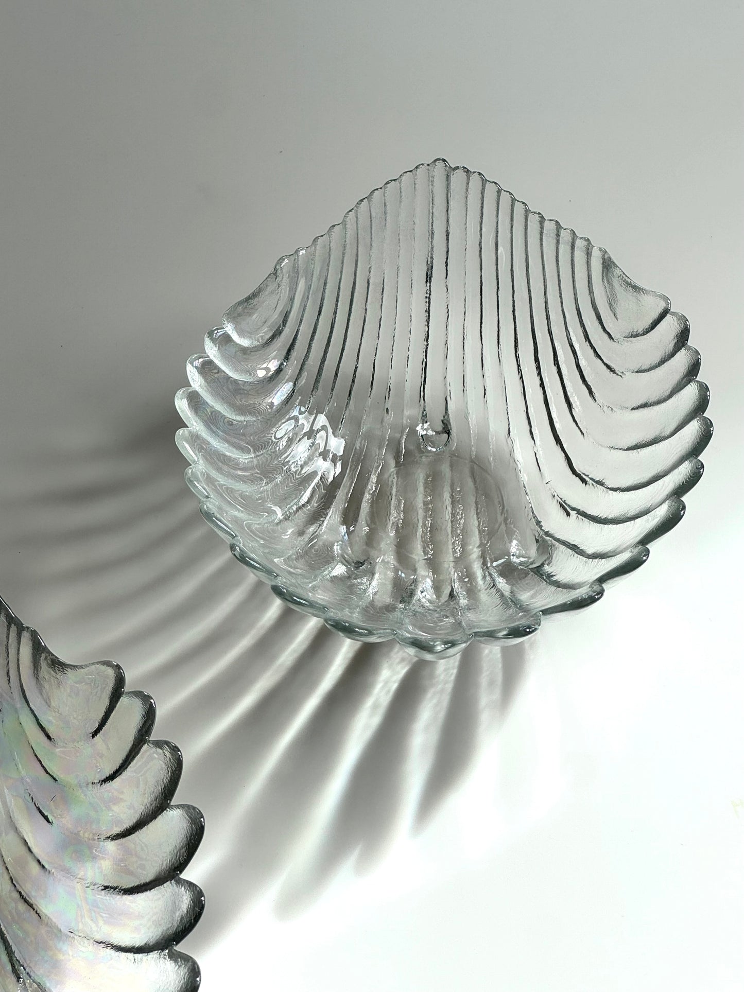 Clam bowl