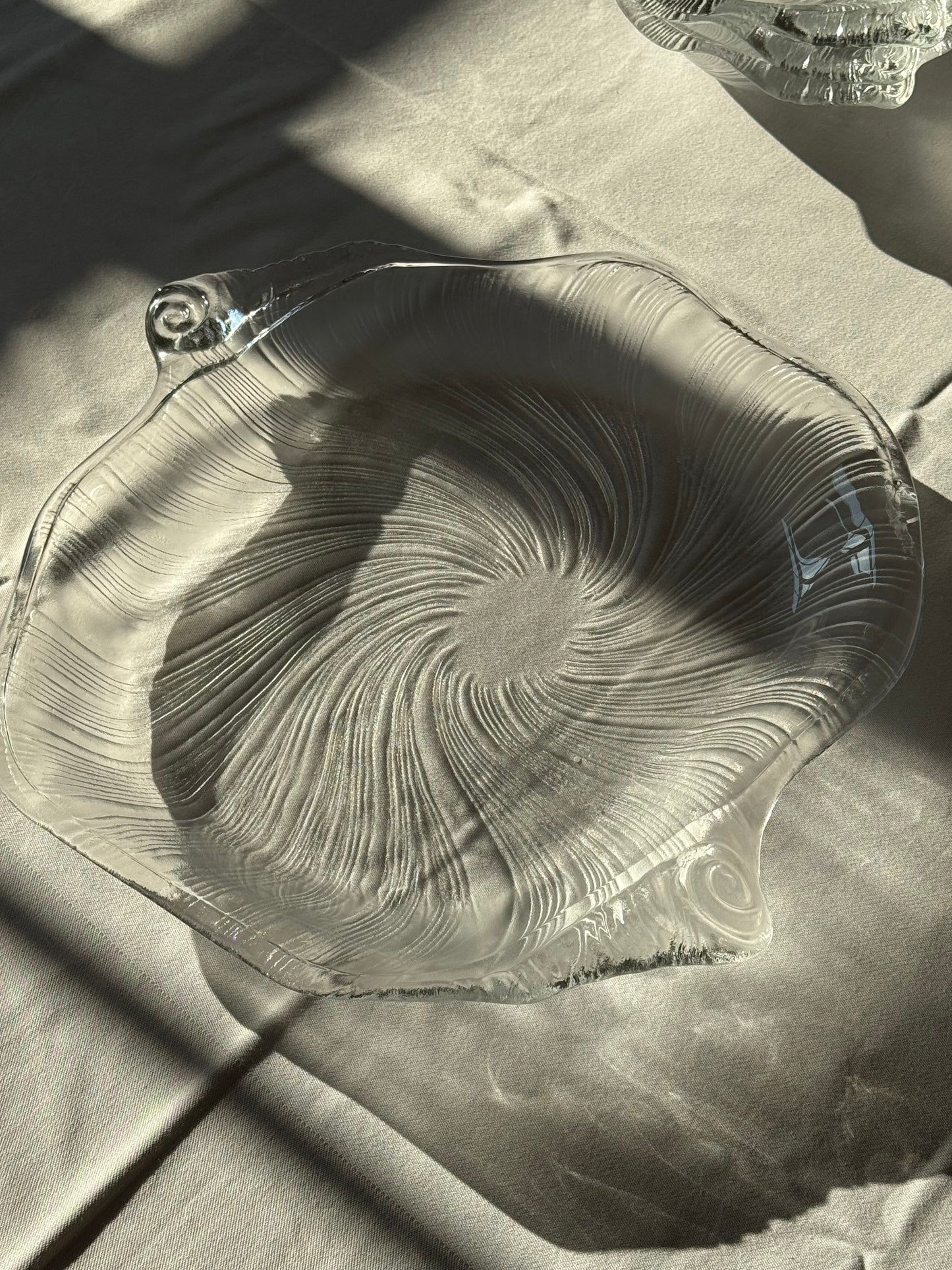 Studio Nova seashell