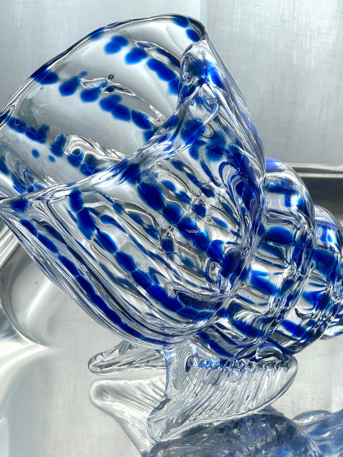 Clam bowl