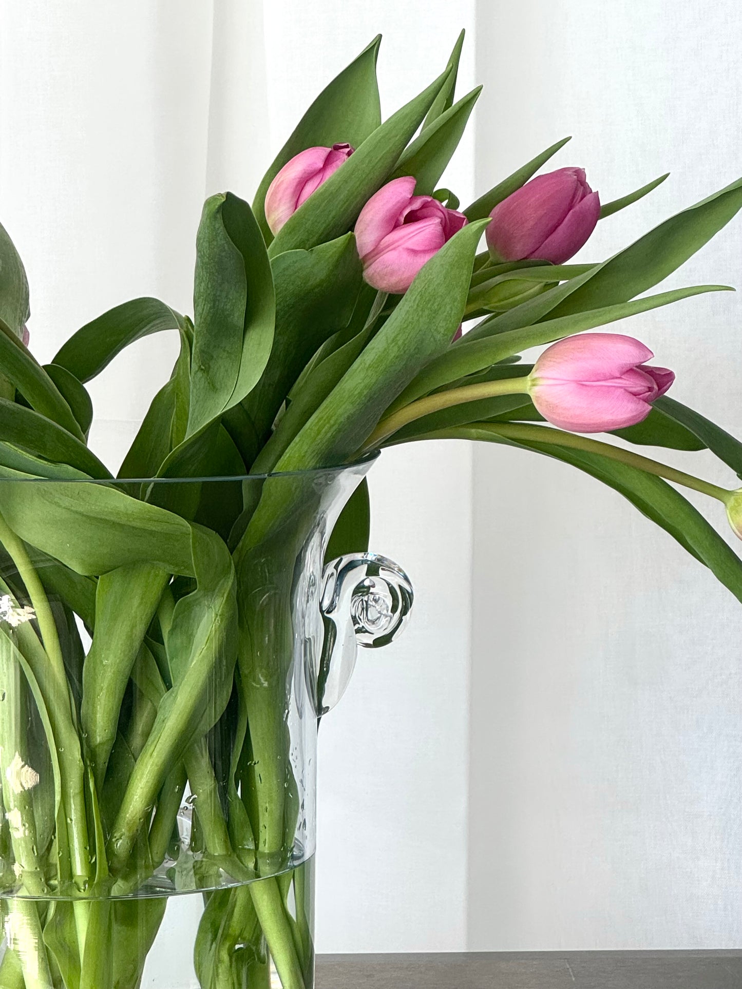 Wine cooler/vase