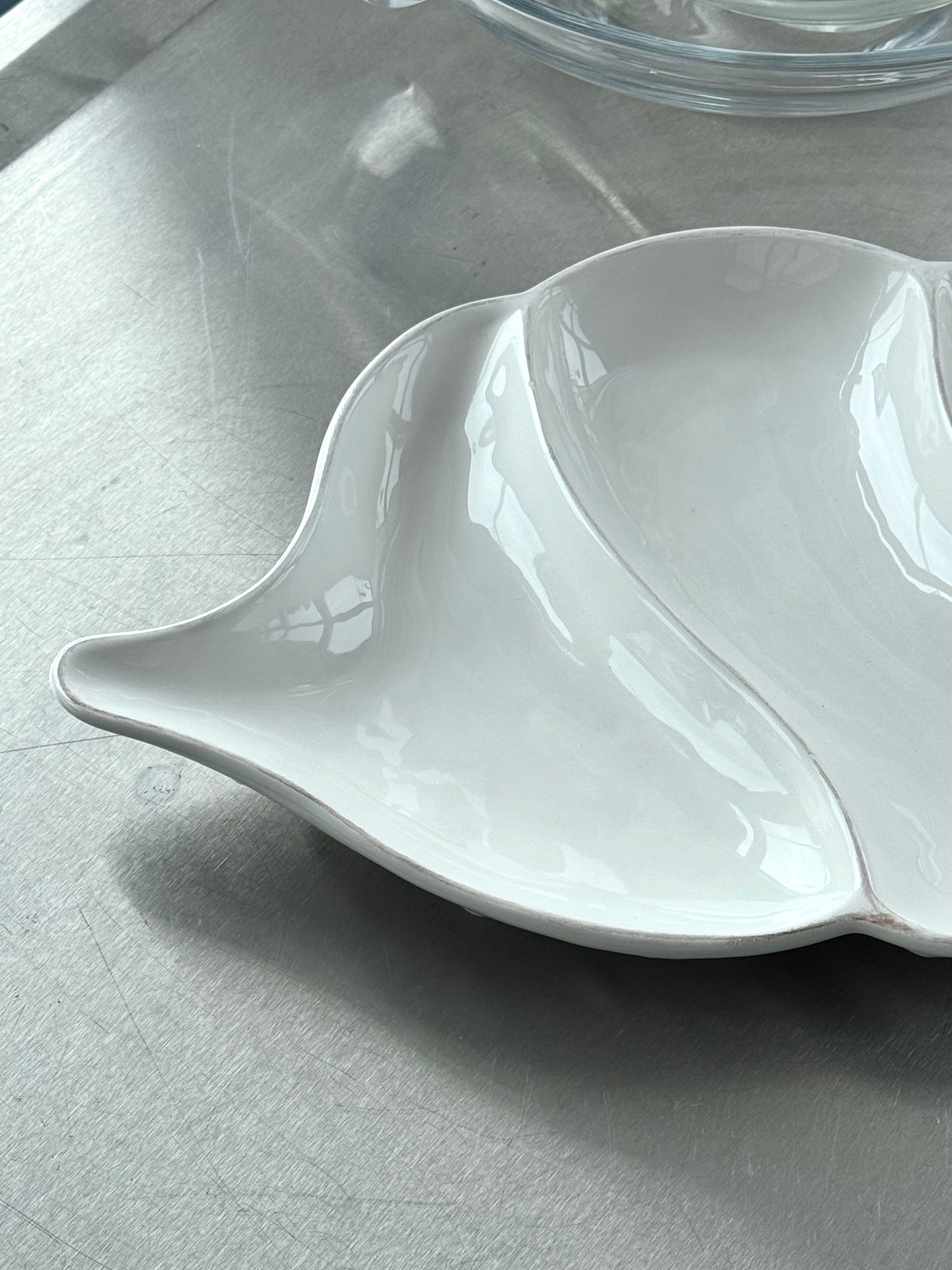 Conch Shell dish