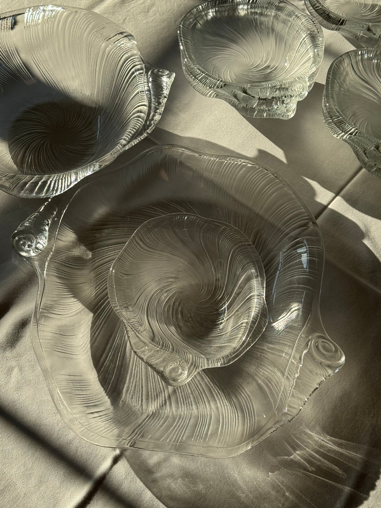 Studio Nova seashell