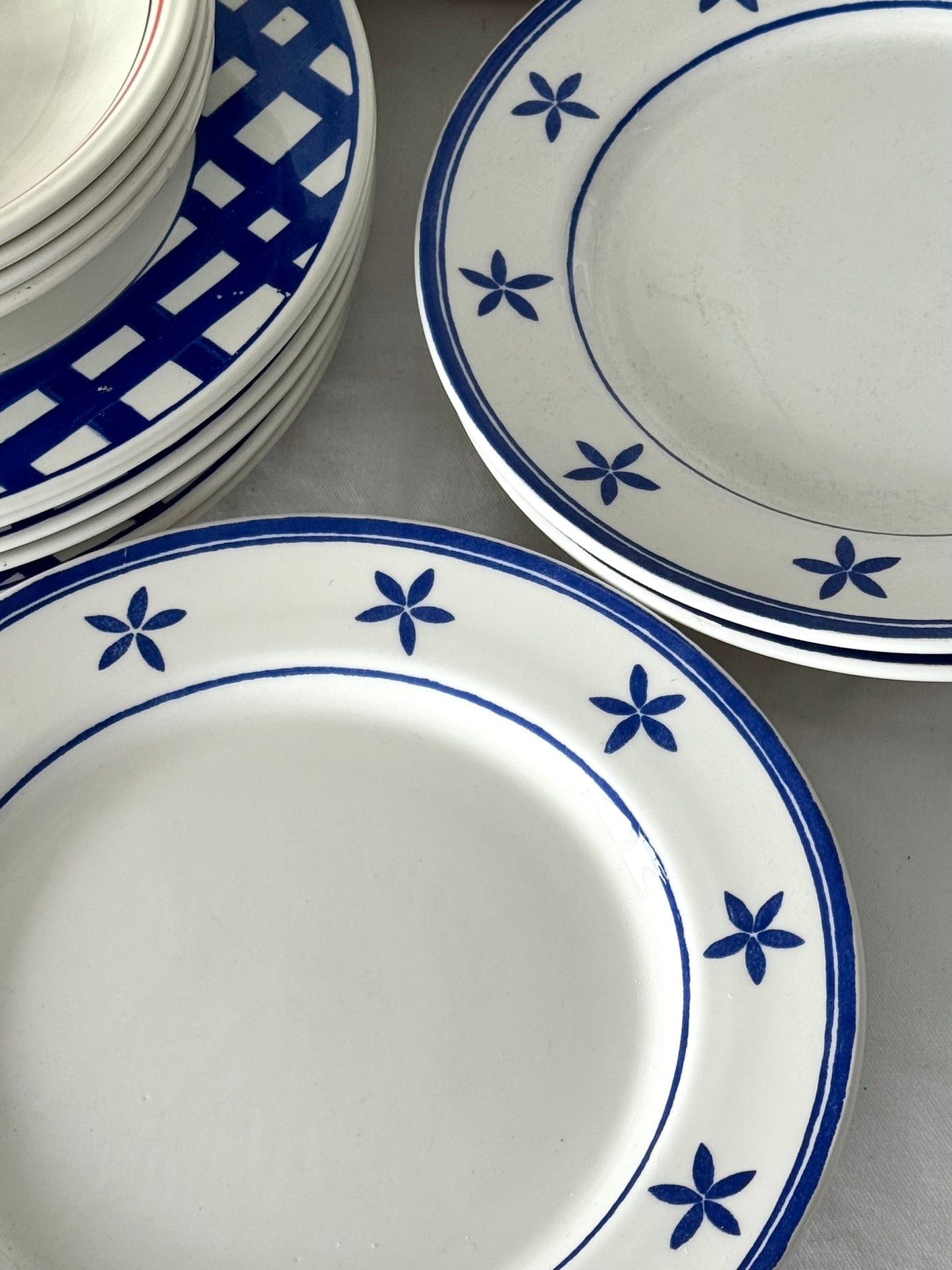 La primula plates