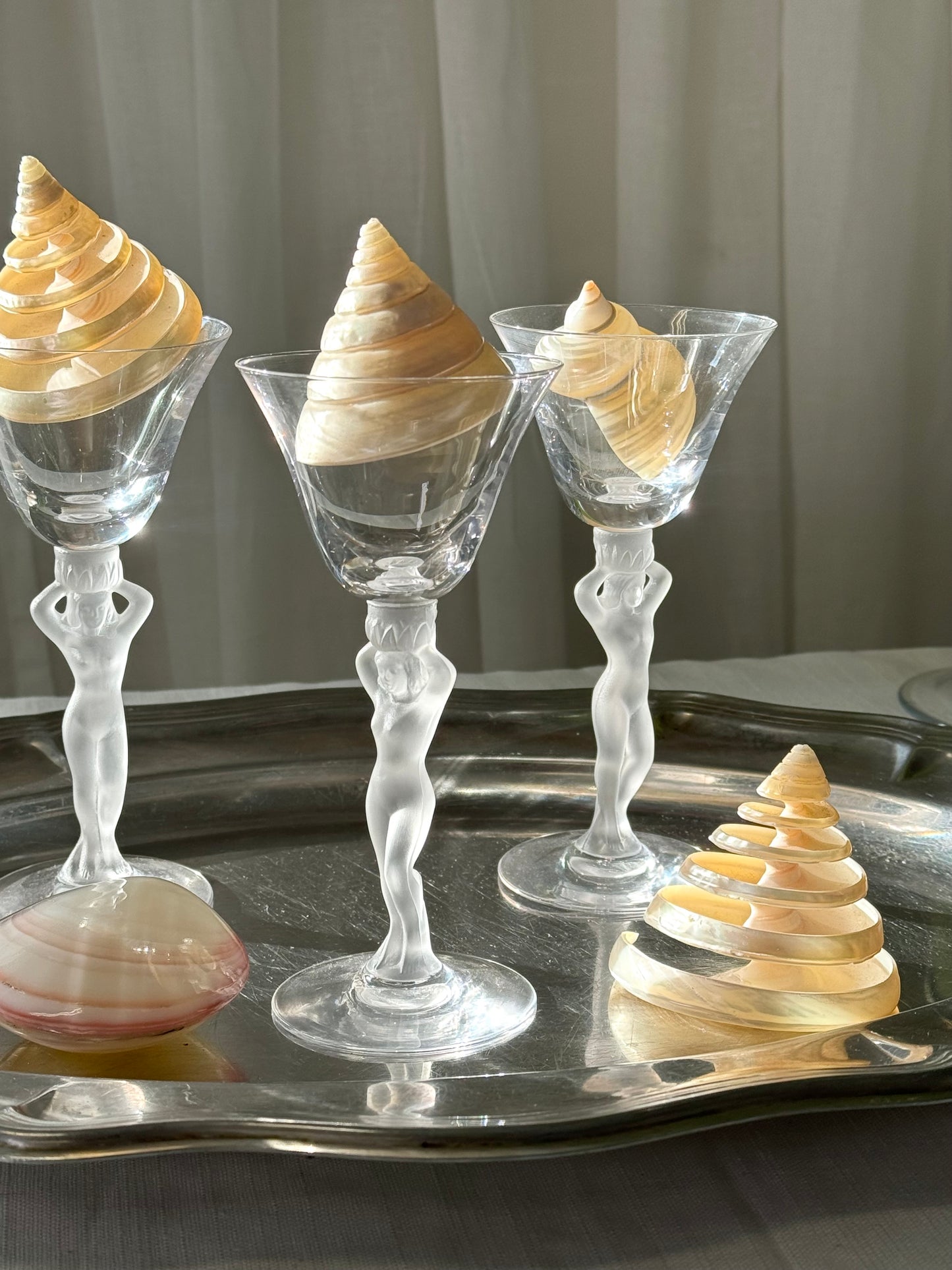 Decor clams