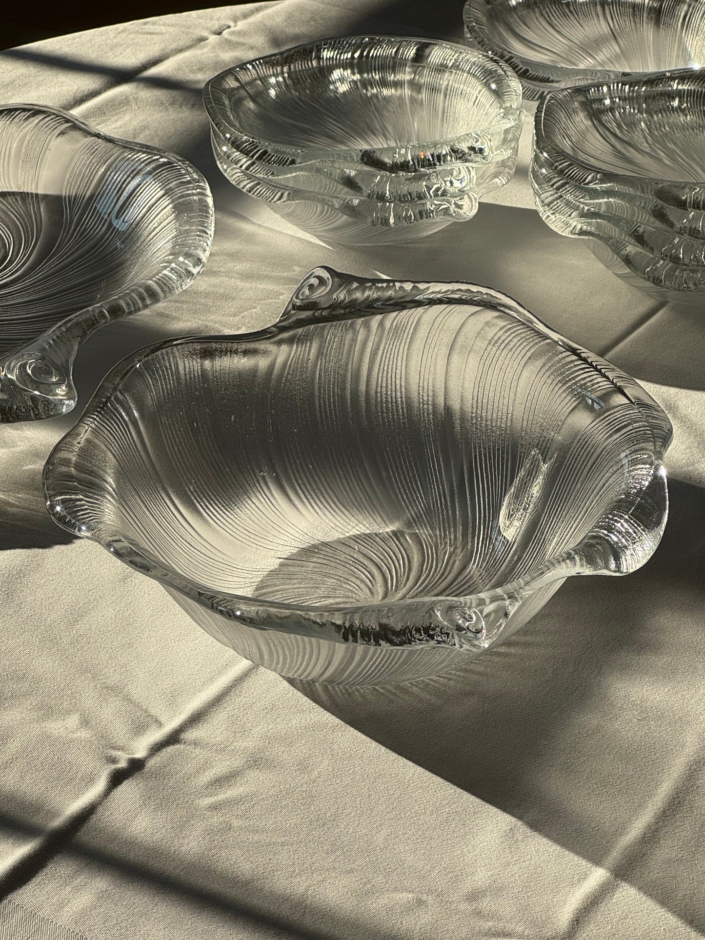 Studio Nova seashell
