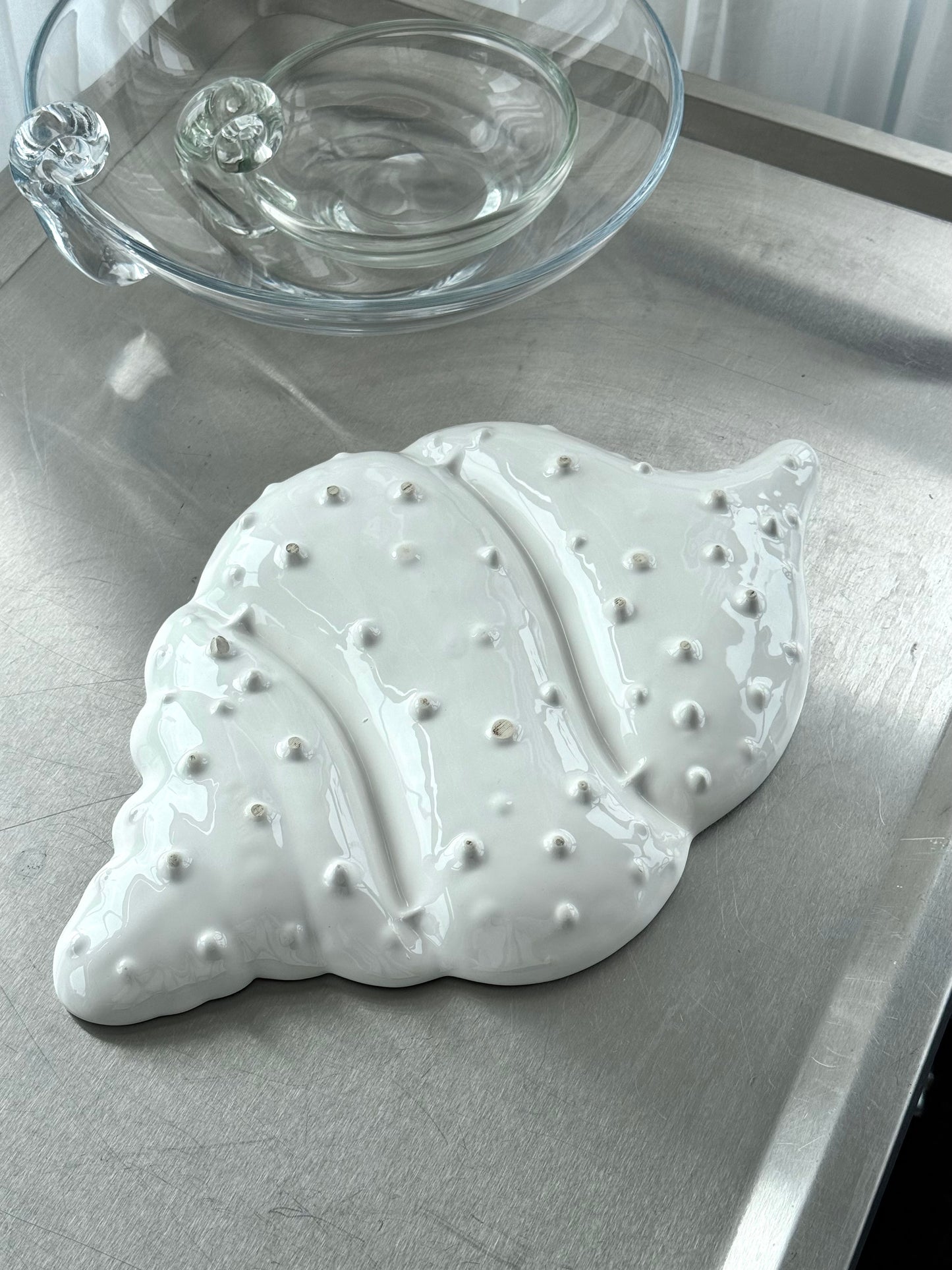 Conch Shell dish