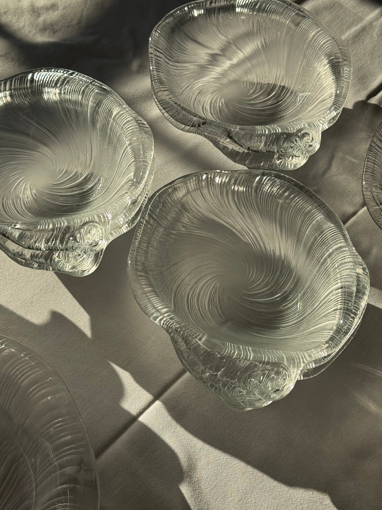 Studio Nova seashell