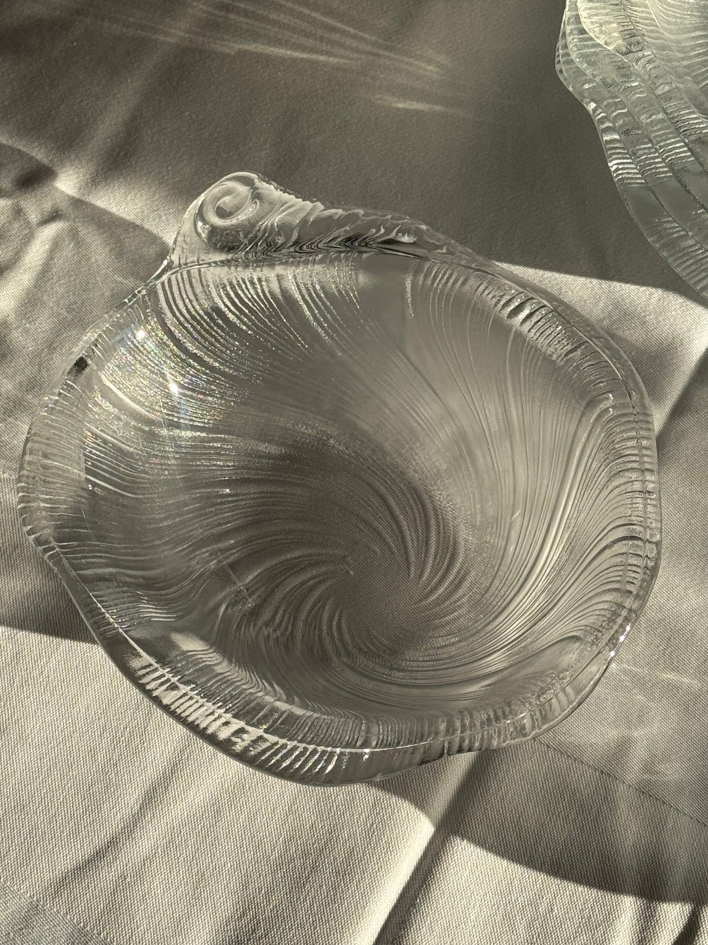 Studio Nova seashell