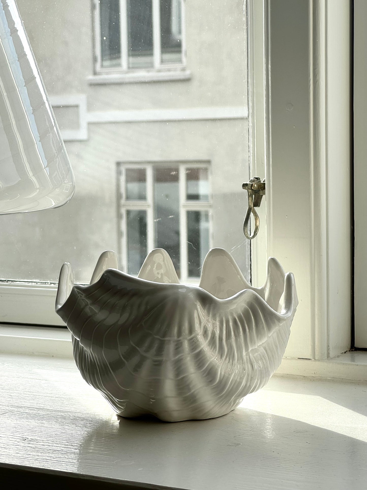 Clam bowl