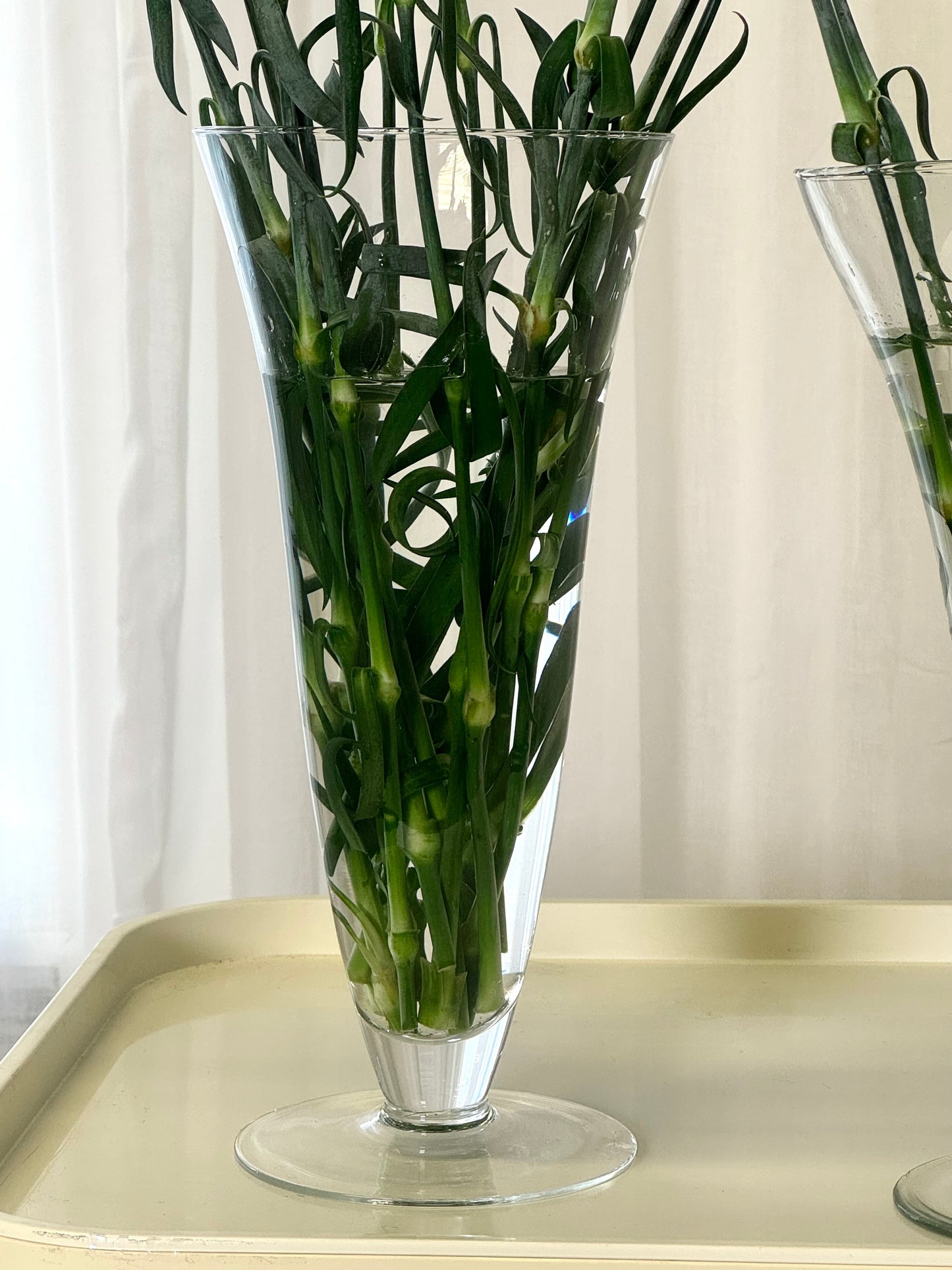 Cup vase