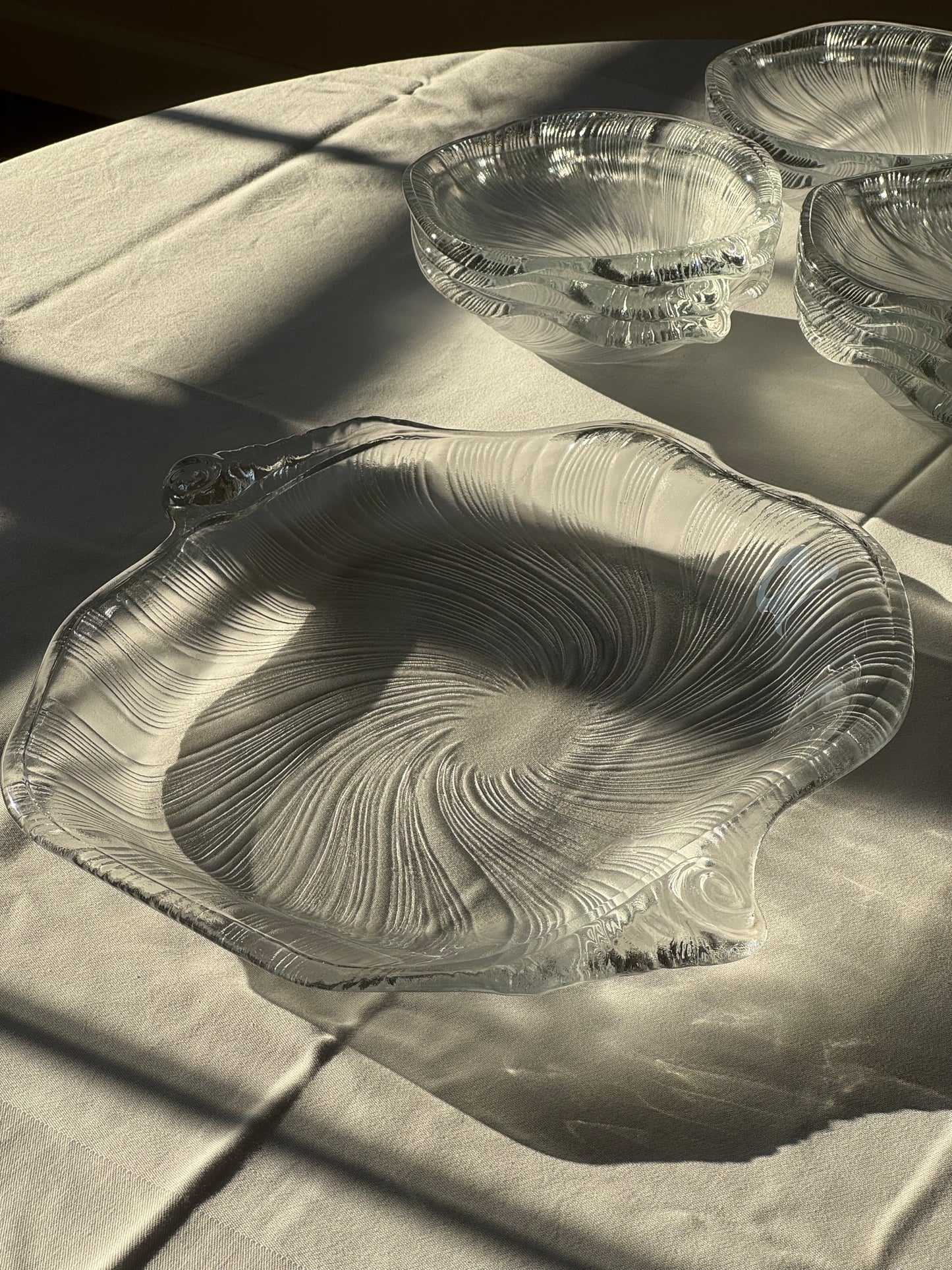 Studio Nova seashell