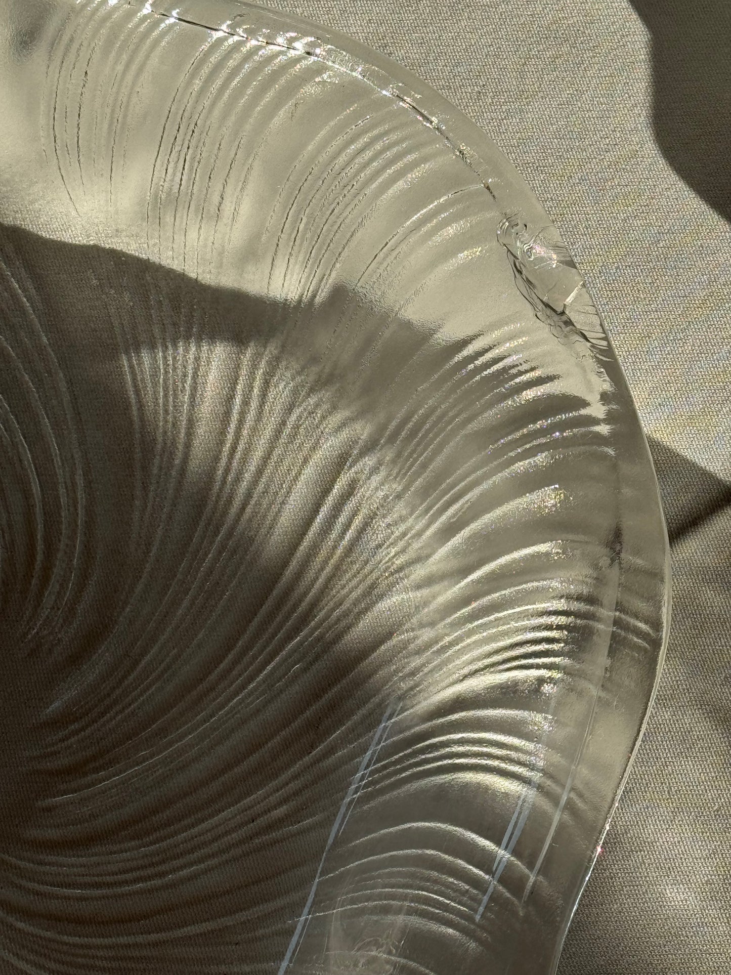 Studio Nova seashell