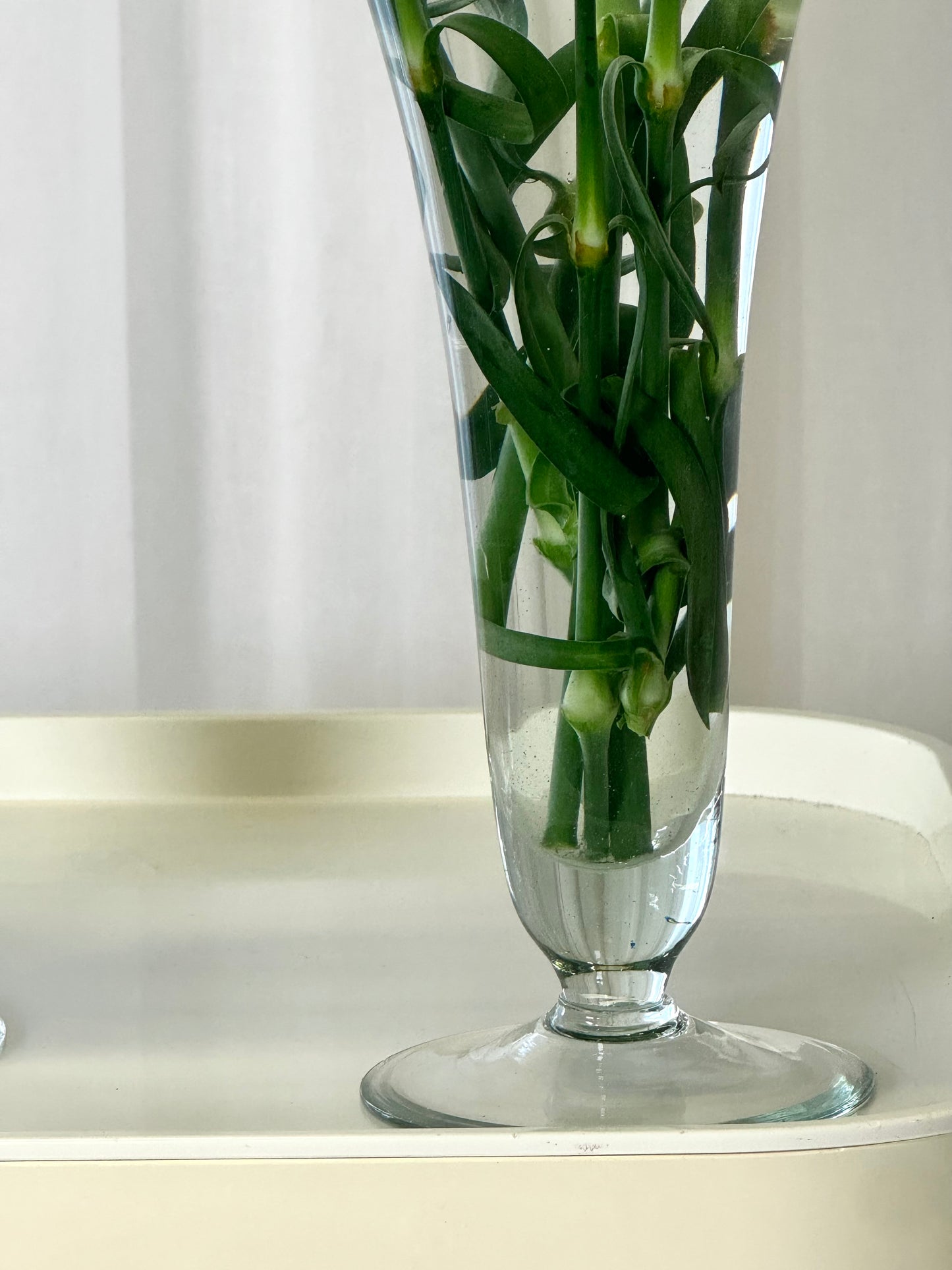 Cup vase