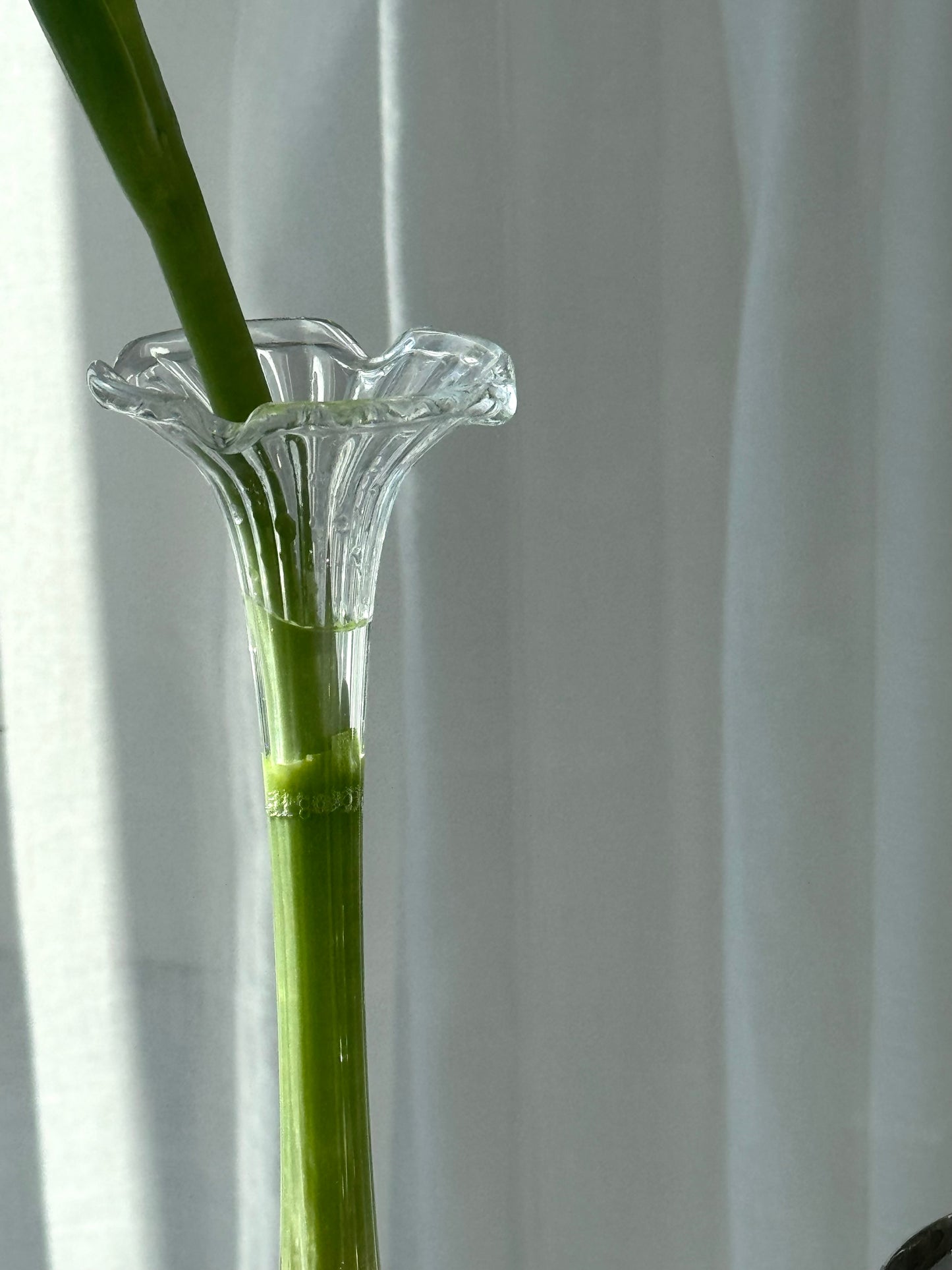 Single flower vase
