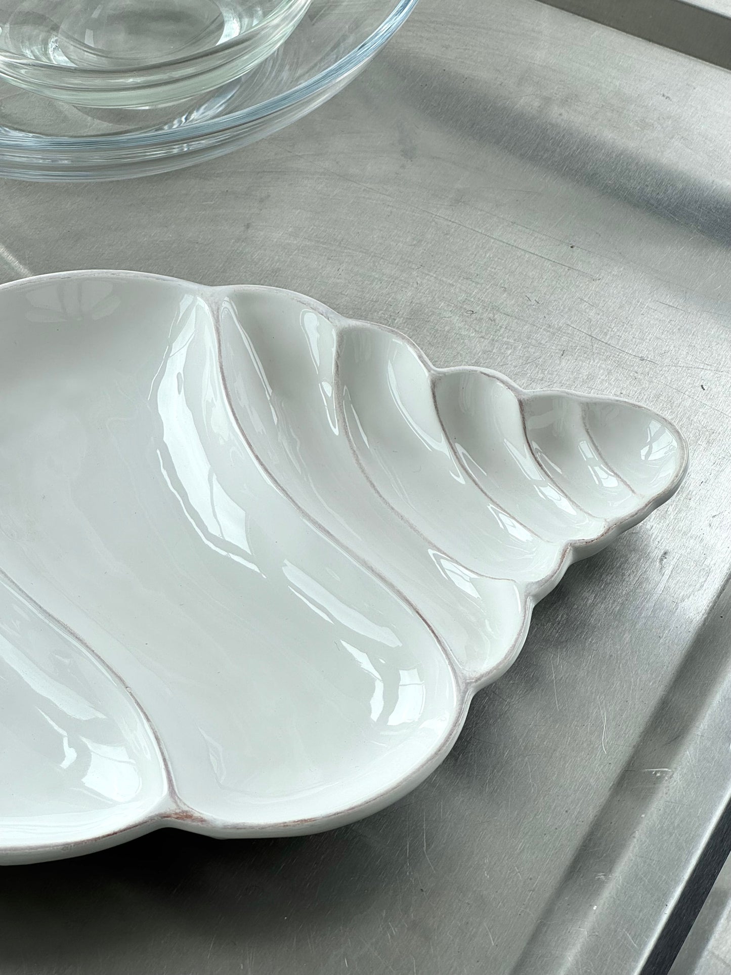 Conch Shell dish