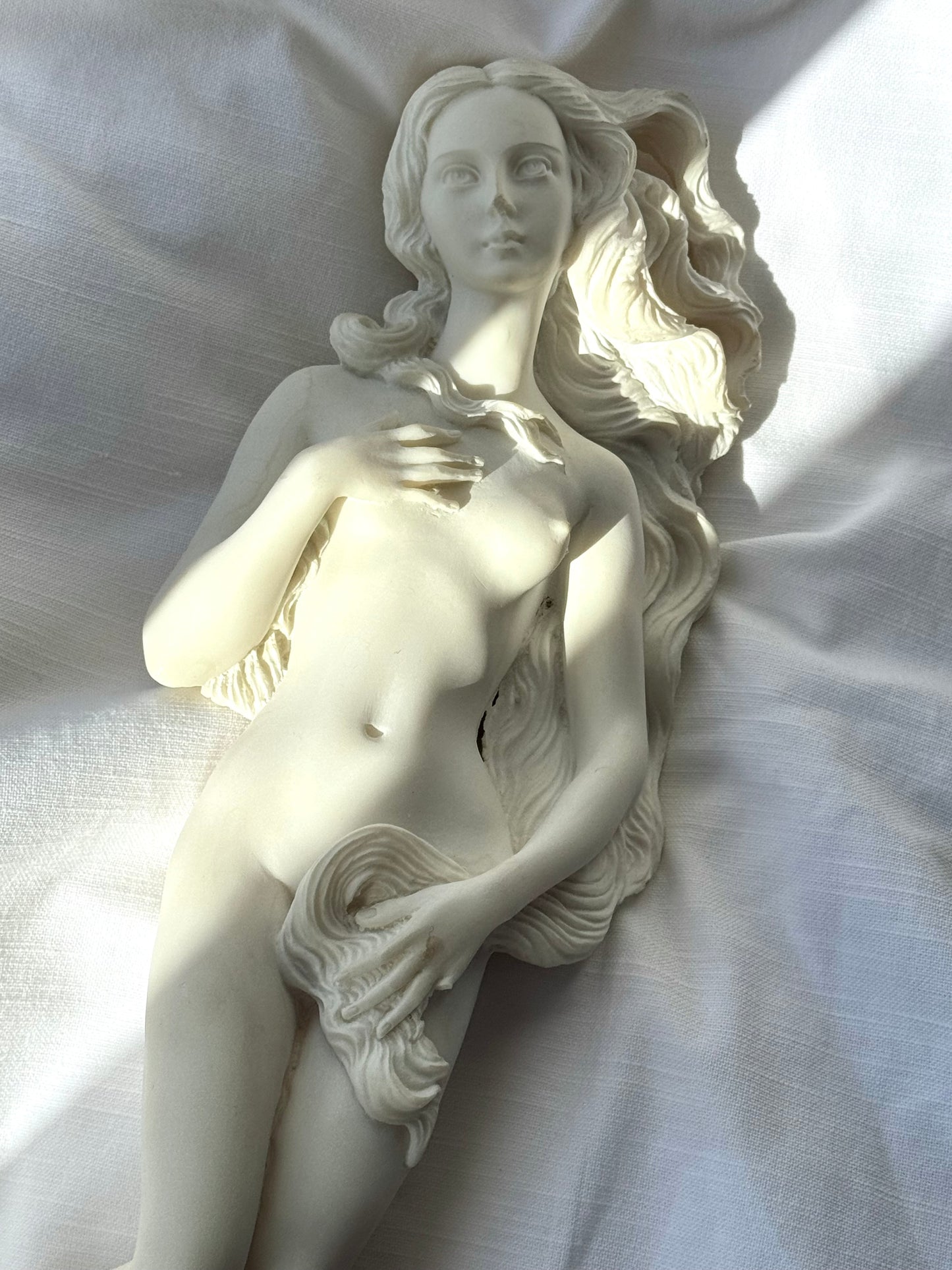 Venus figurine