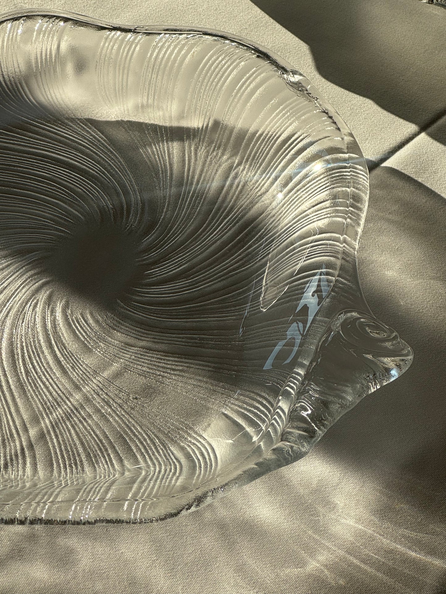 Studio Nova seashell
