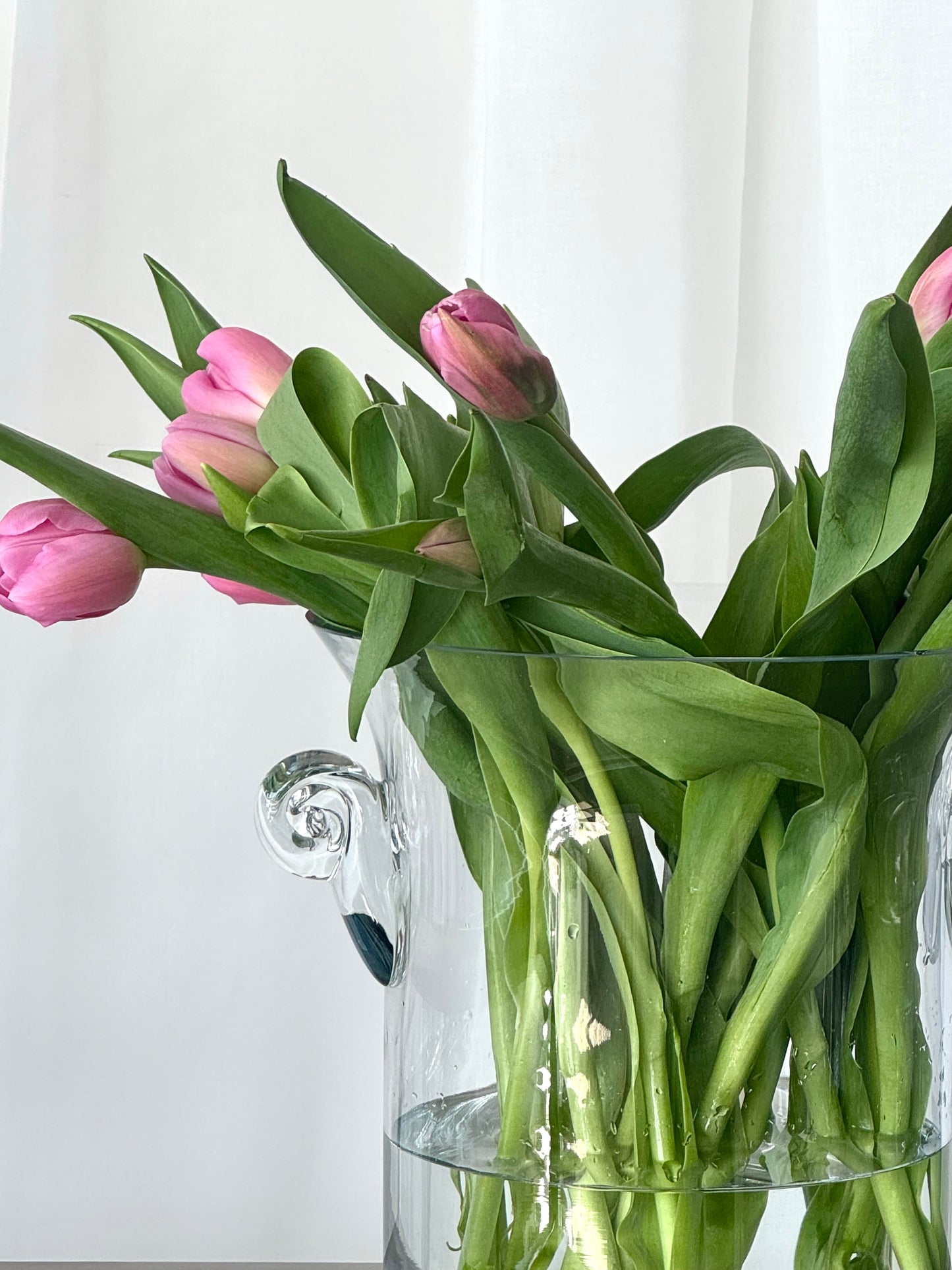 Wine cooler/vase