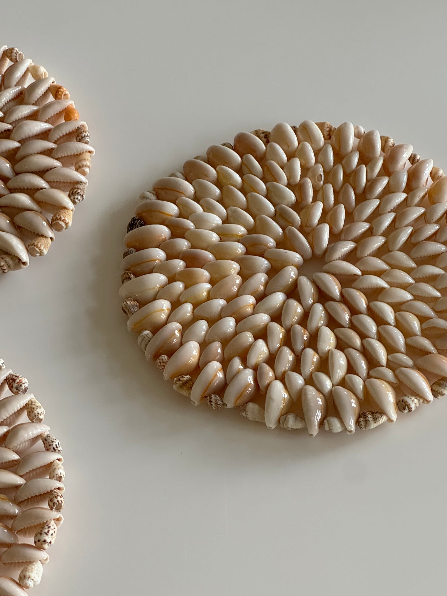 Shell coasters