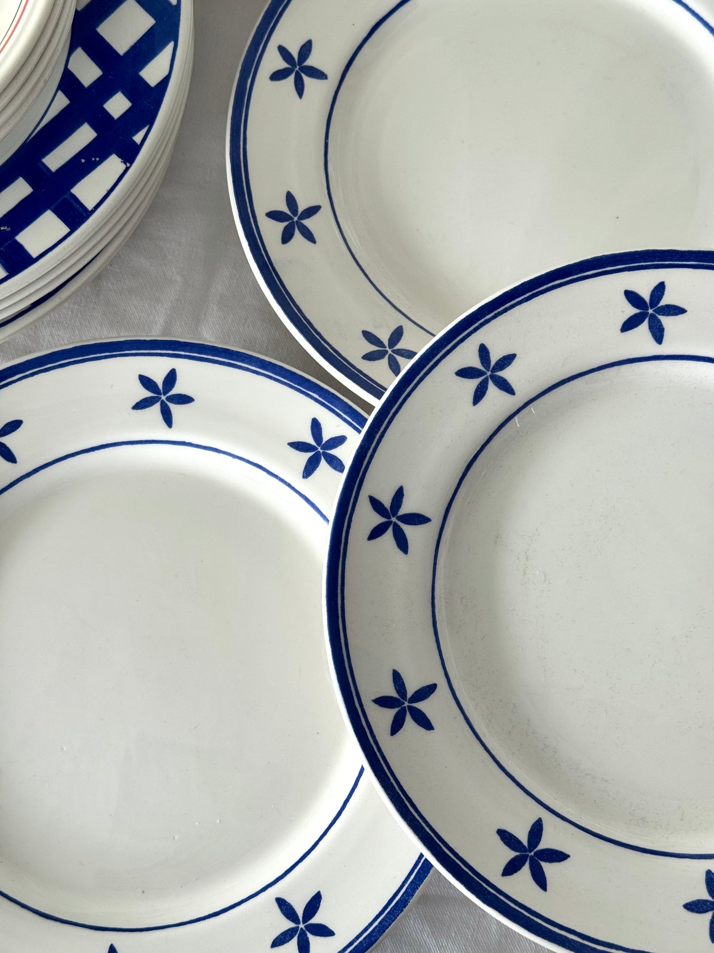 La primula plates