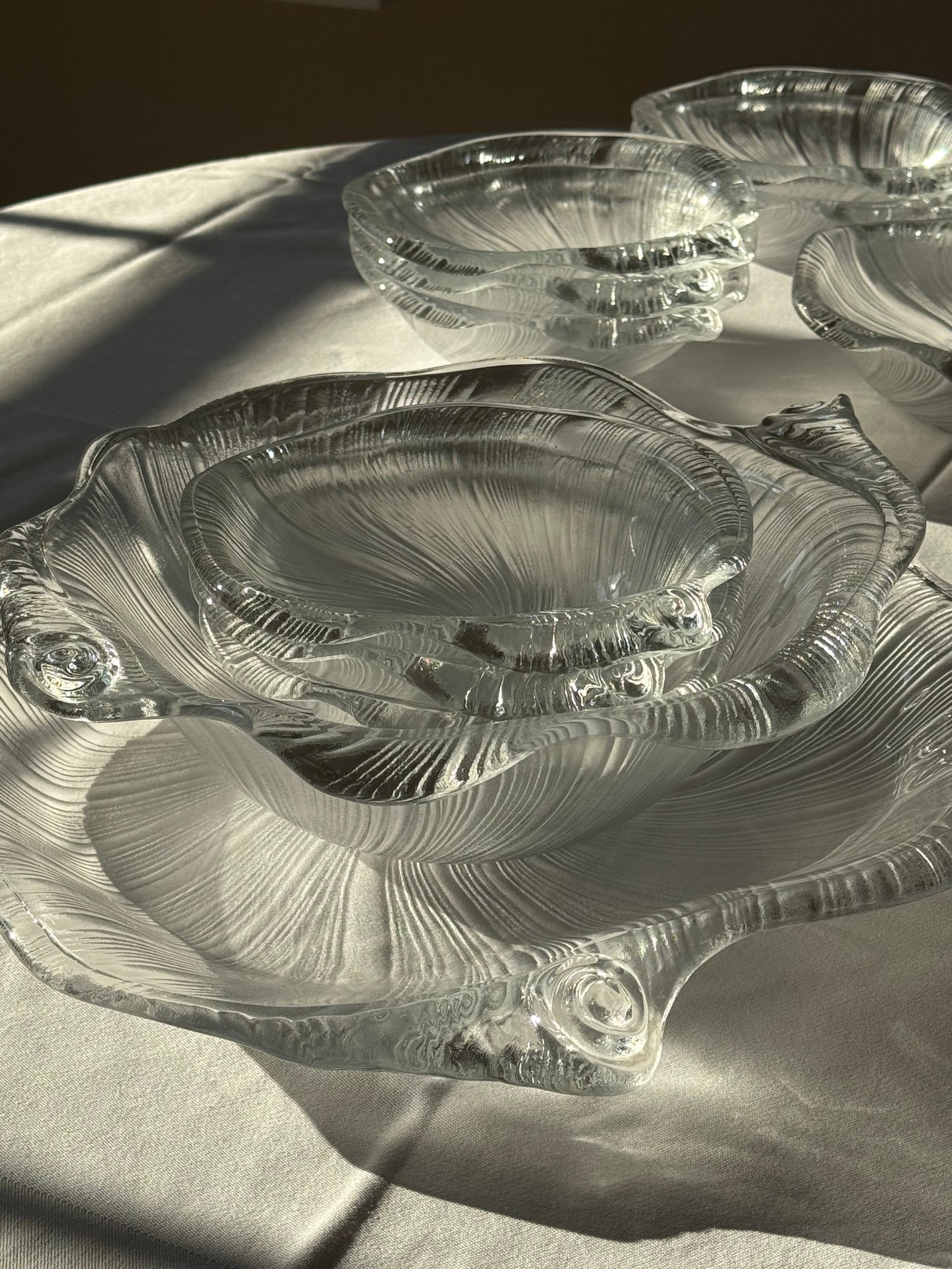 Studio Nova seashell