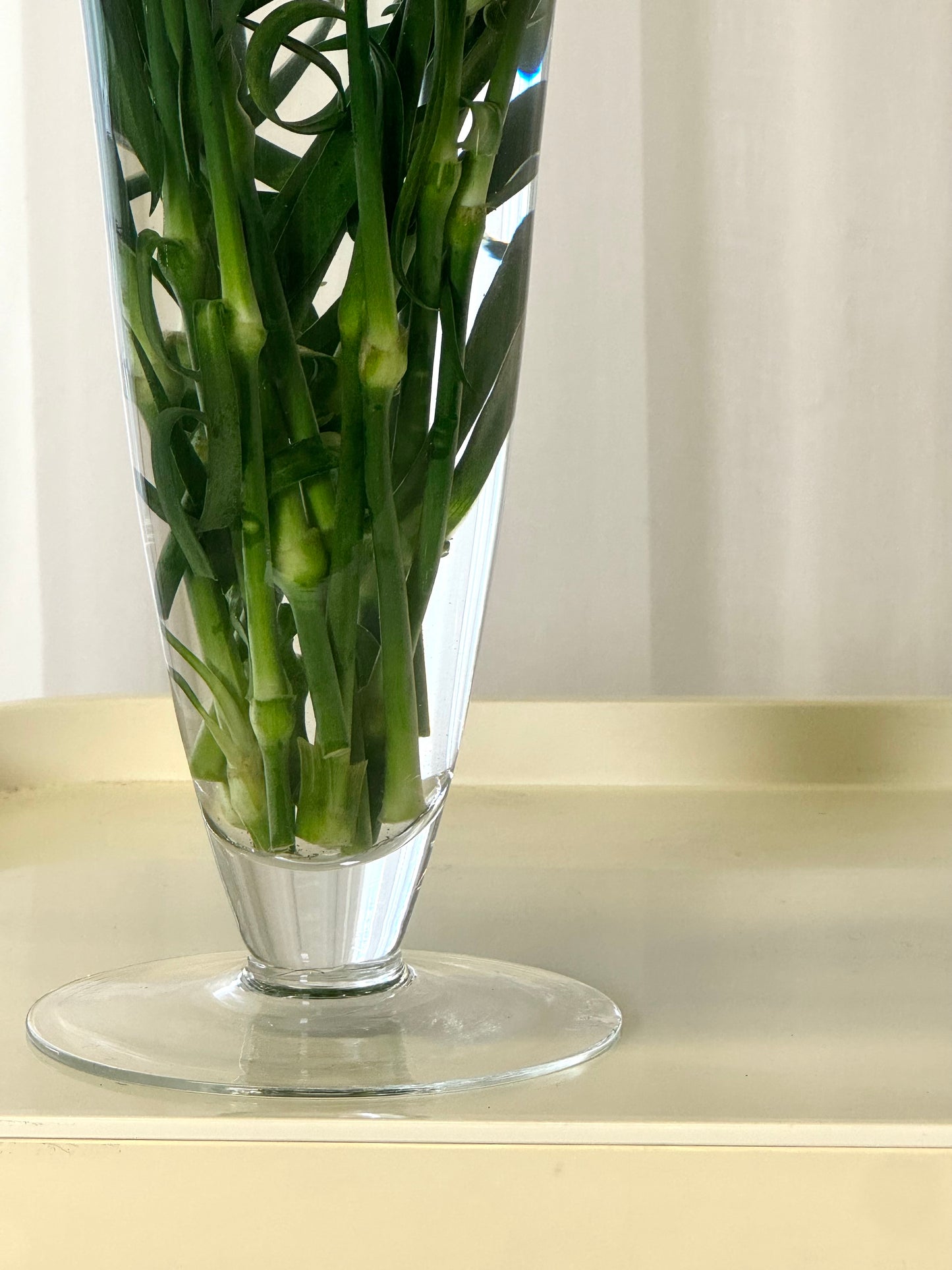 Cup vase