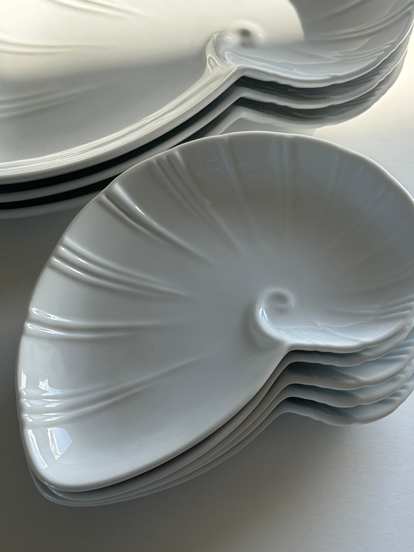 Shell dish