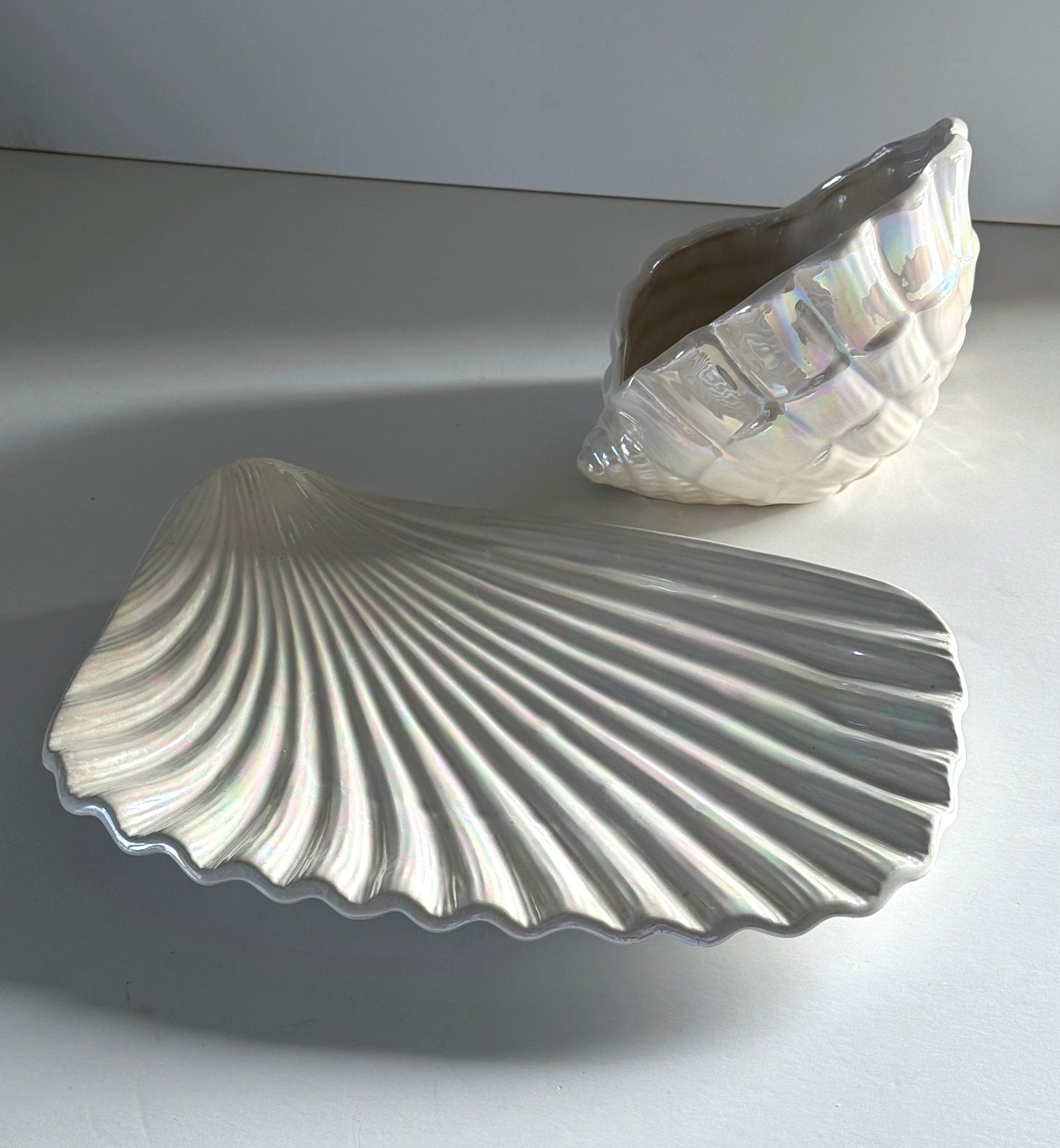 Mother of pearl clam and dish