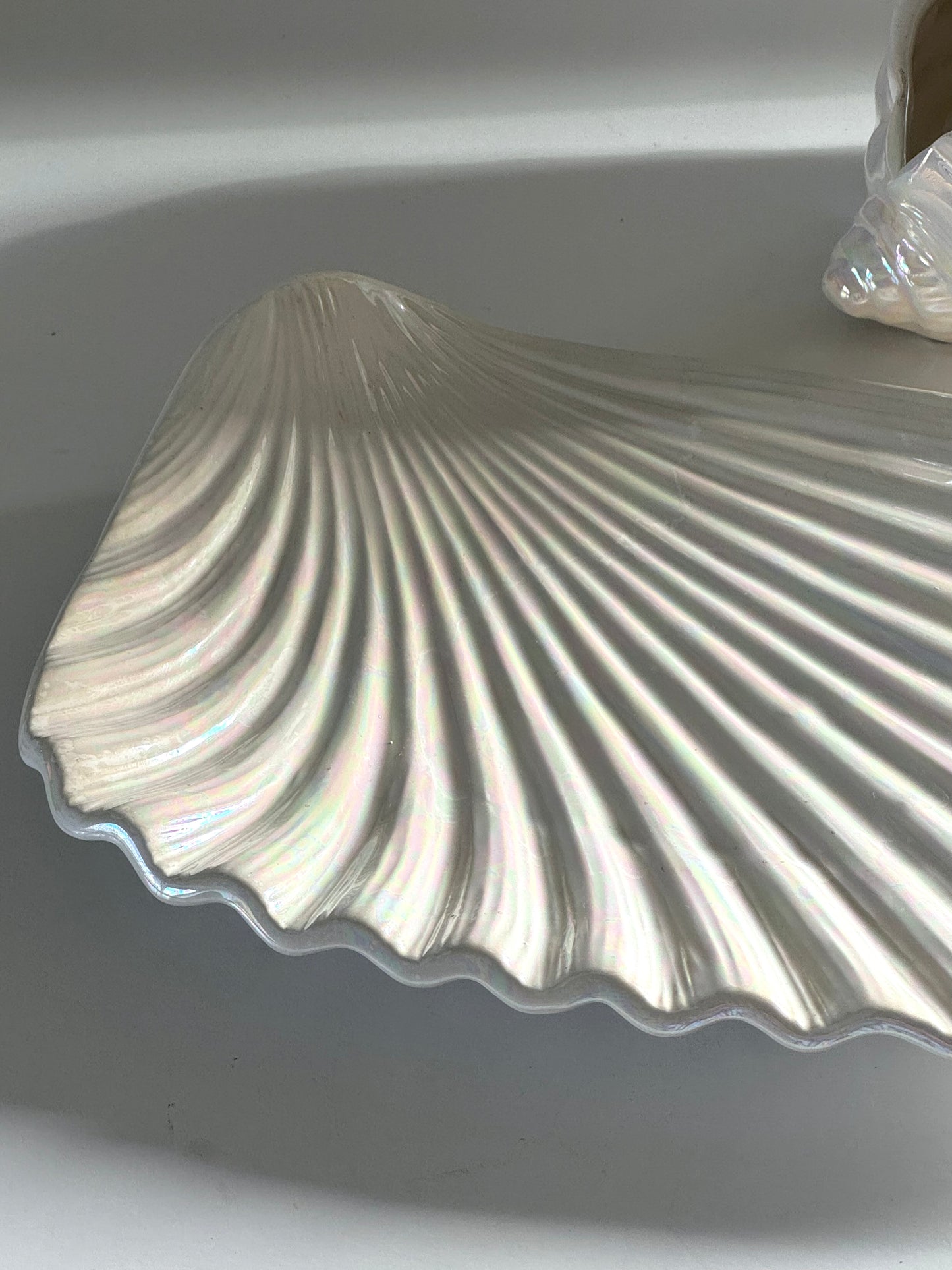 Mother of pearl clam and dish