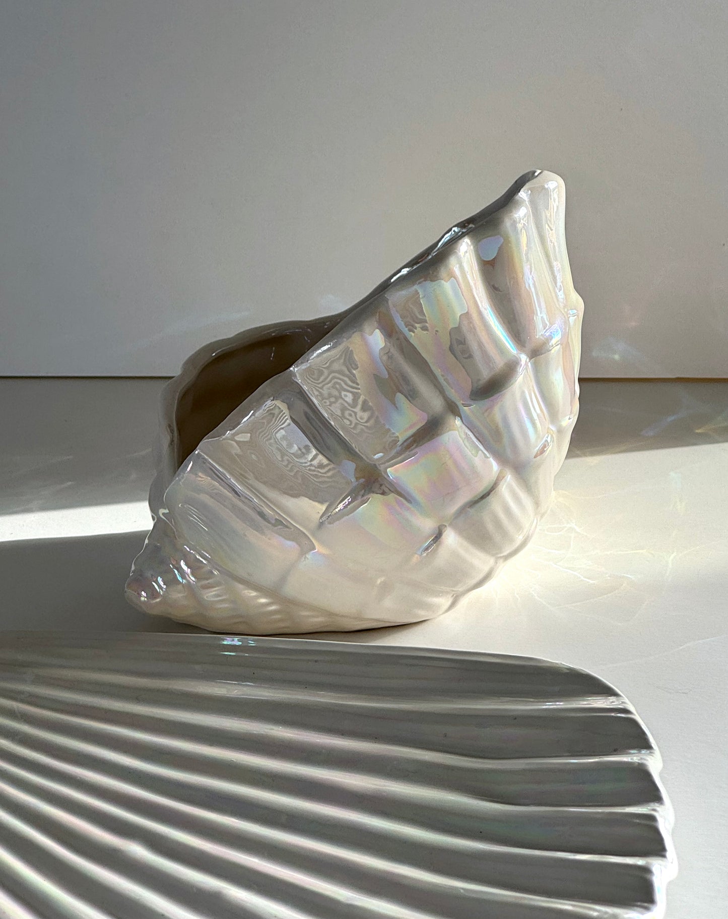 Mother of pearl clam and dish
