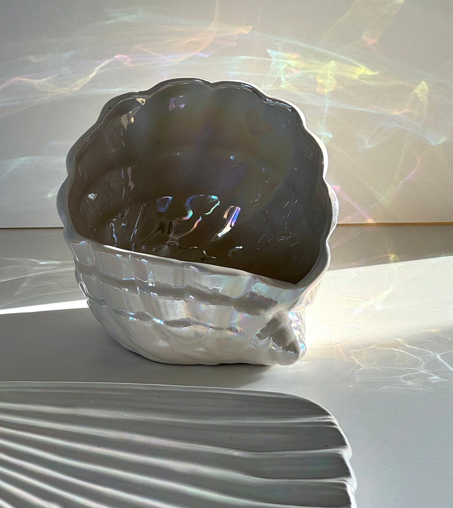 Mother of pearl clam and dish