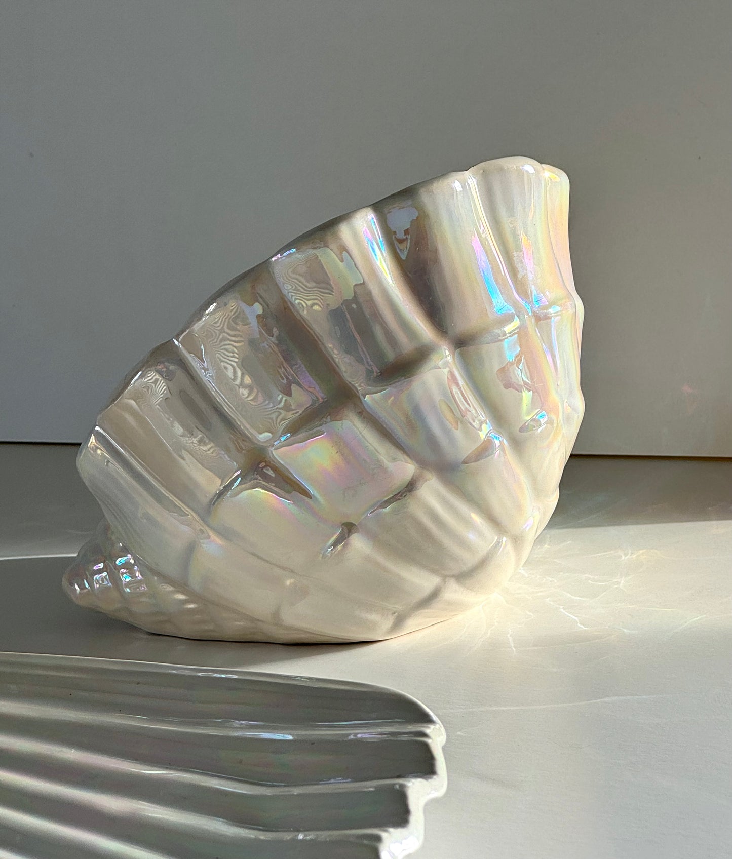 Mother of pearl clam and dish