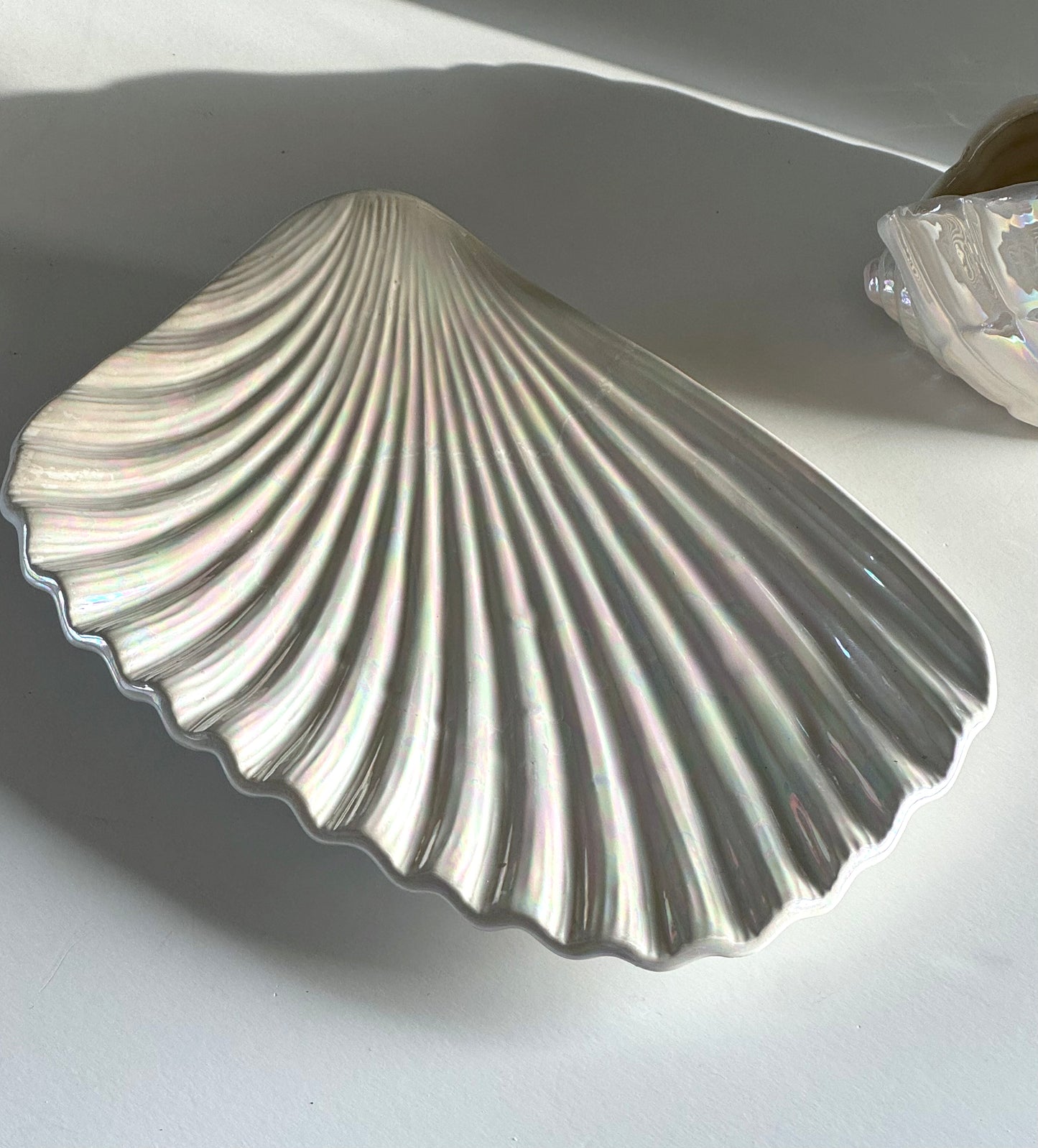 Mother of pearl clam and dish
