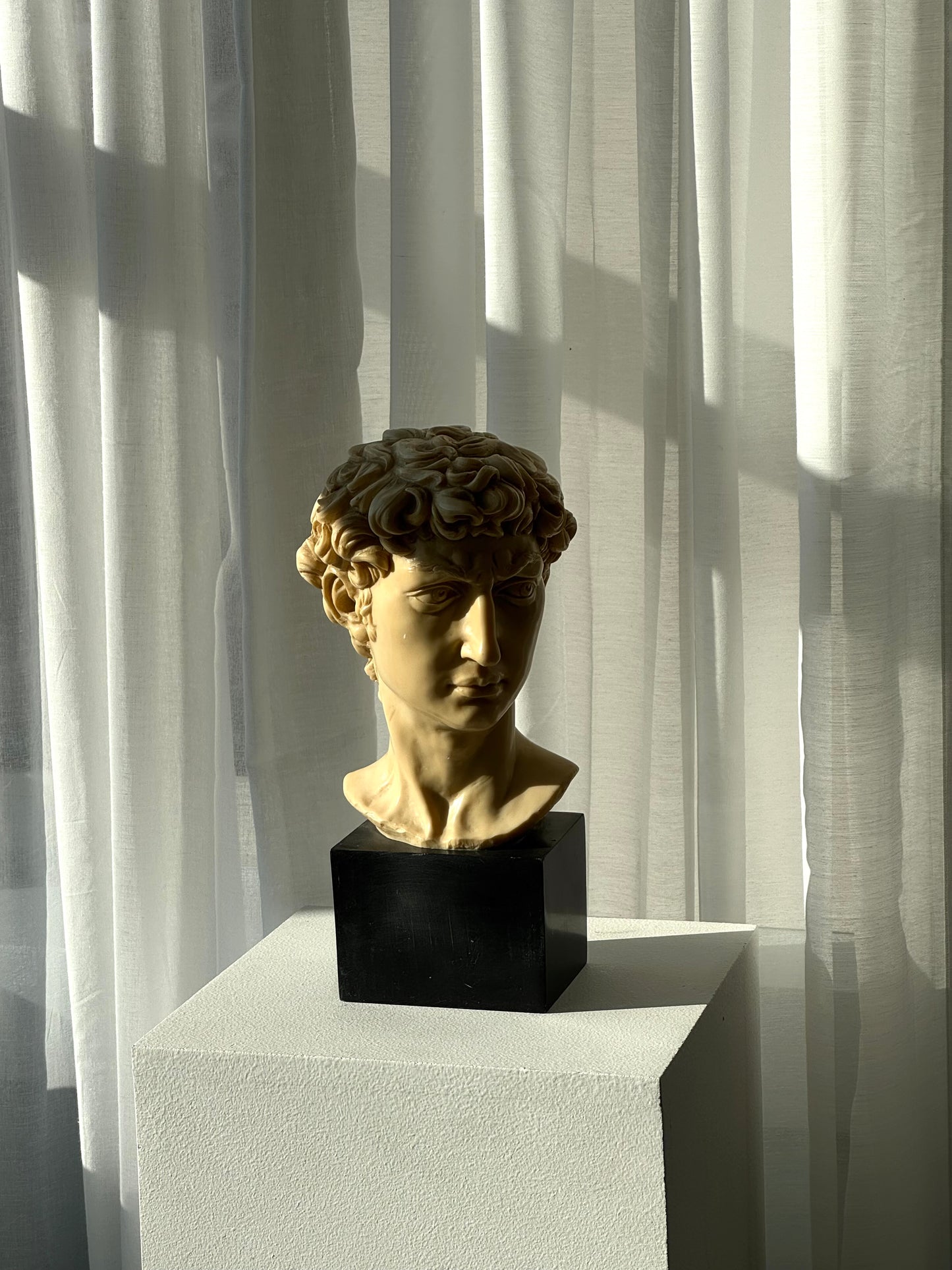 Signed David bust