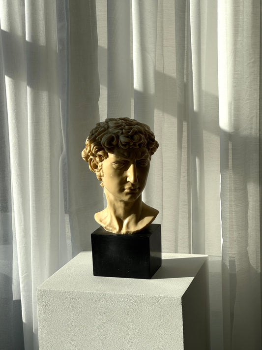 Signed David bust