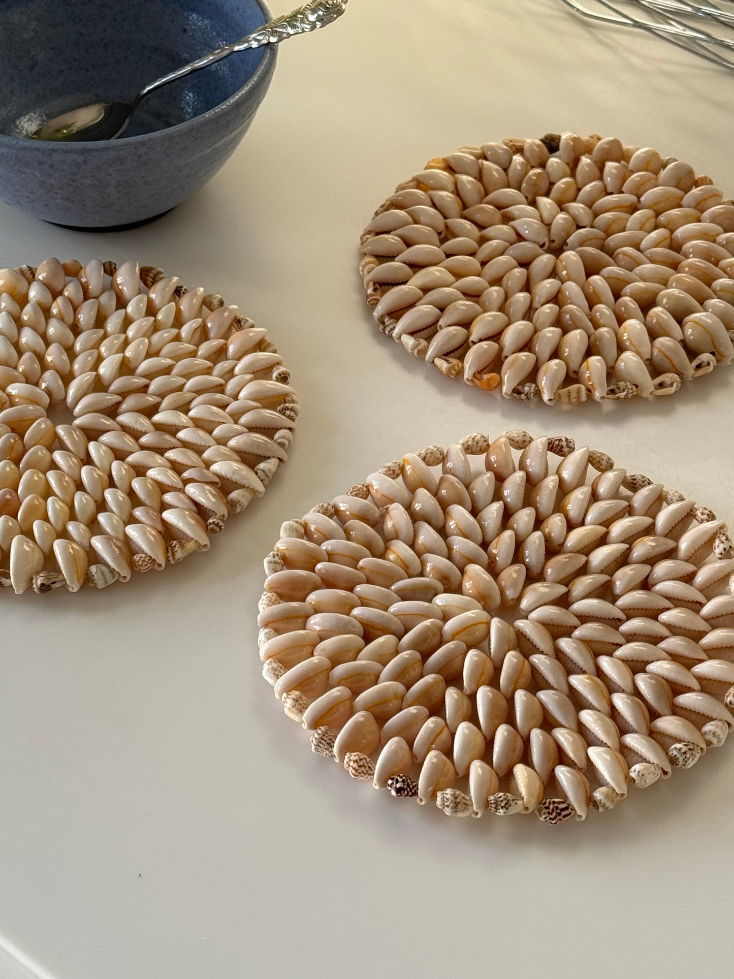 Shell coasters