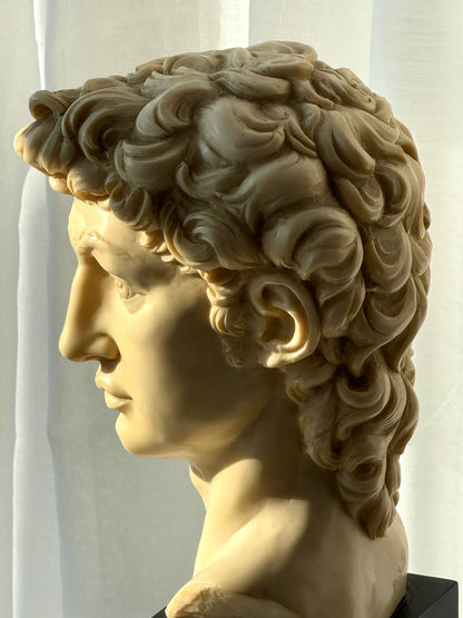 Signed David bust