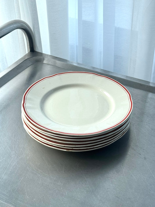 Arabia plates