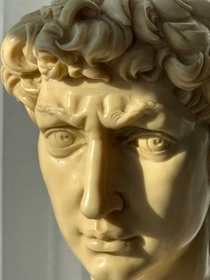 Signed David bust