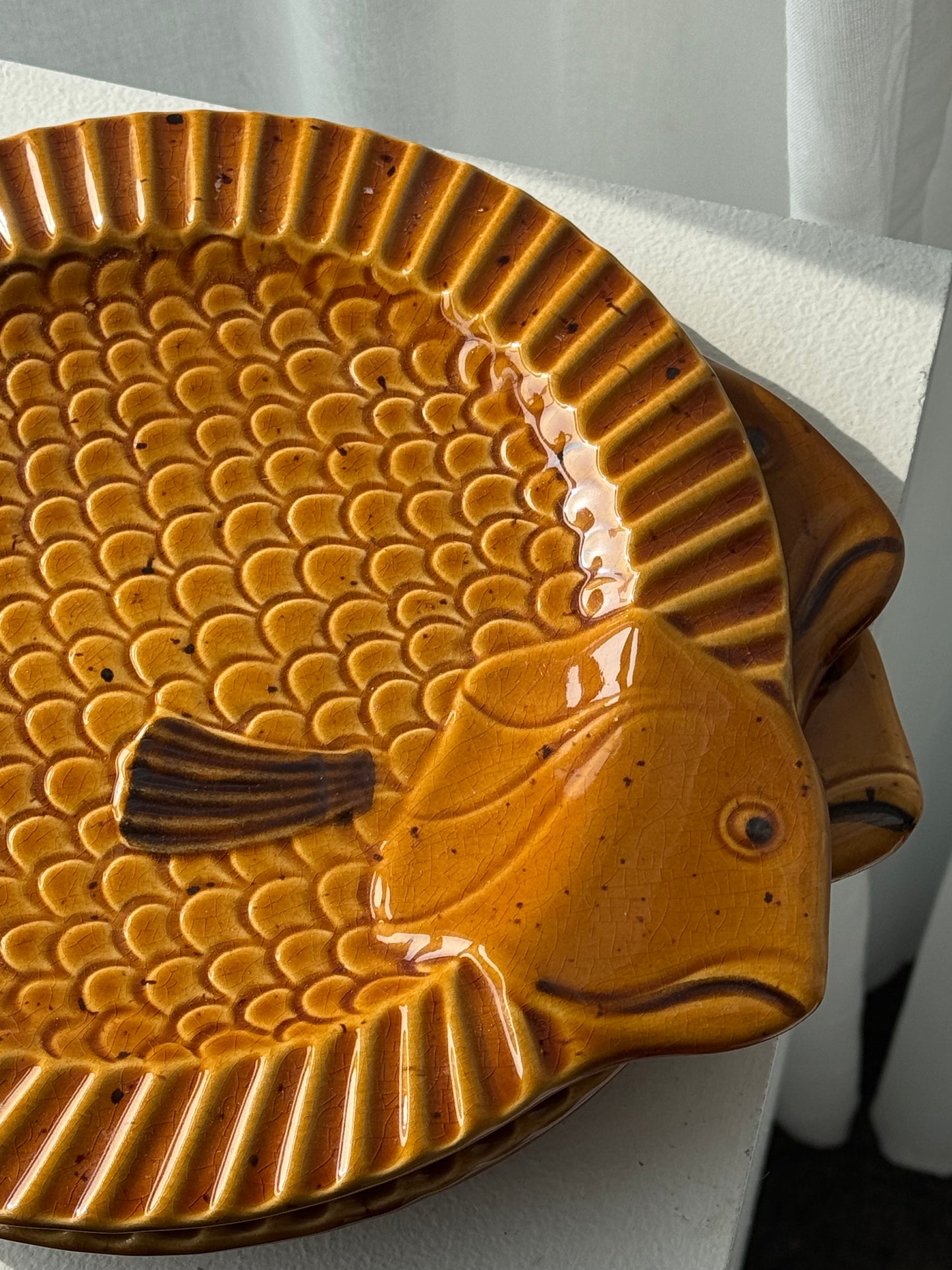 Fish plates