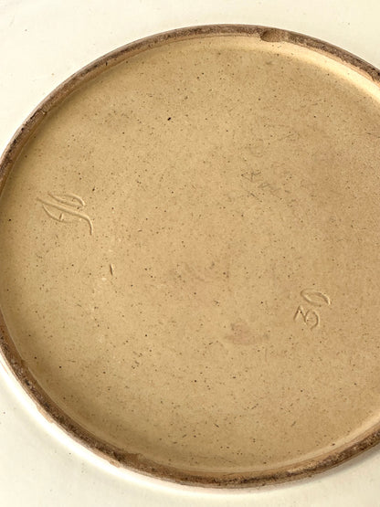 Haunsø dish