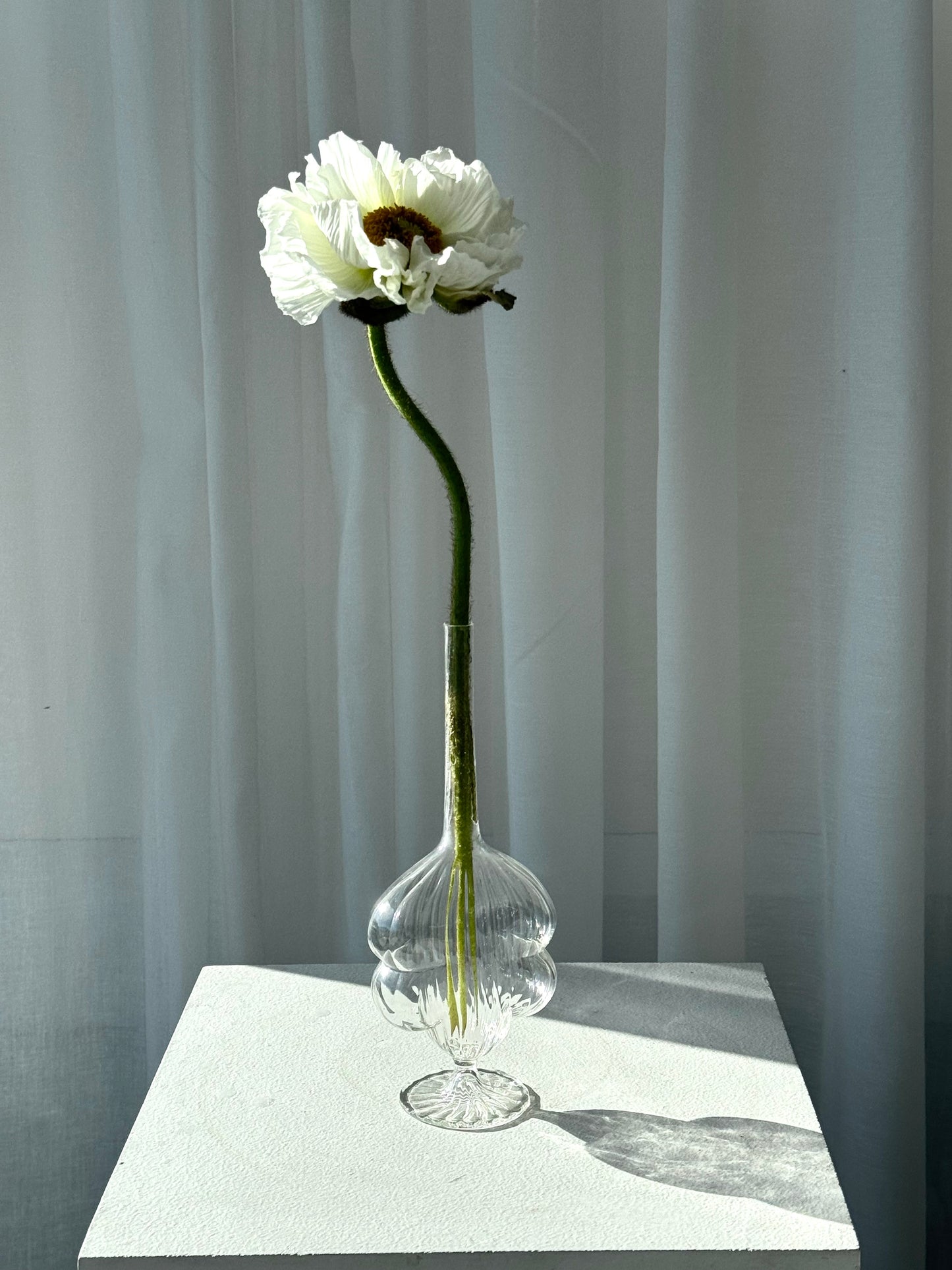 Single flower vase