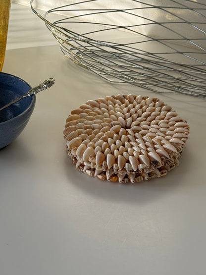 Shell coasters