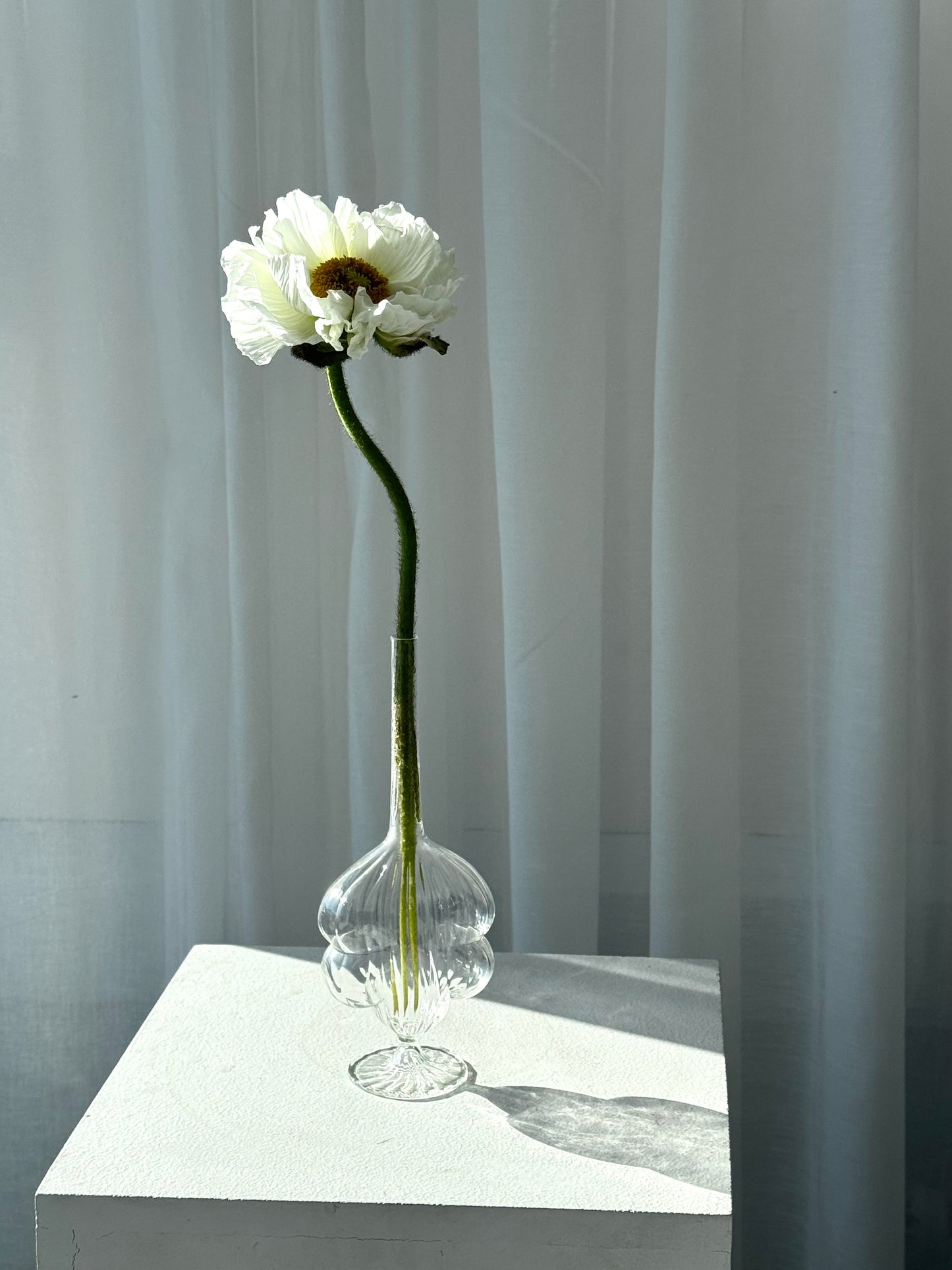 Single flower vase