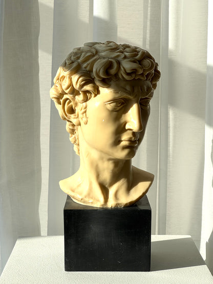 Signed David bust