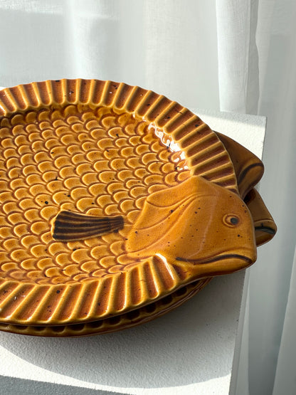 Fish plates