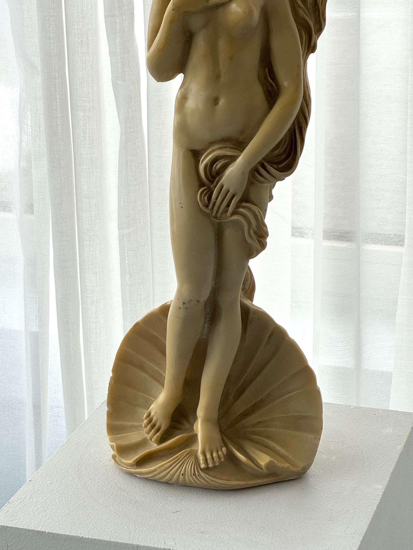 Venus figurine