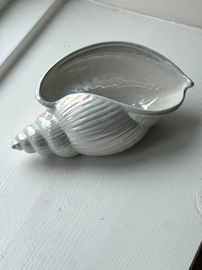 Mother of Pearl clam