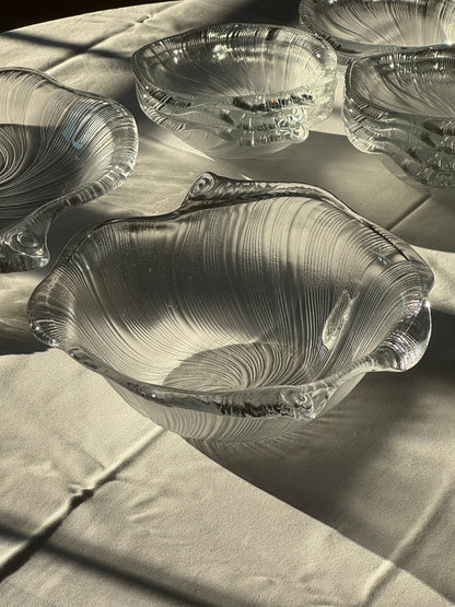 Studio Nova seashell