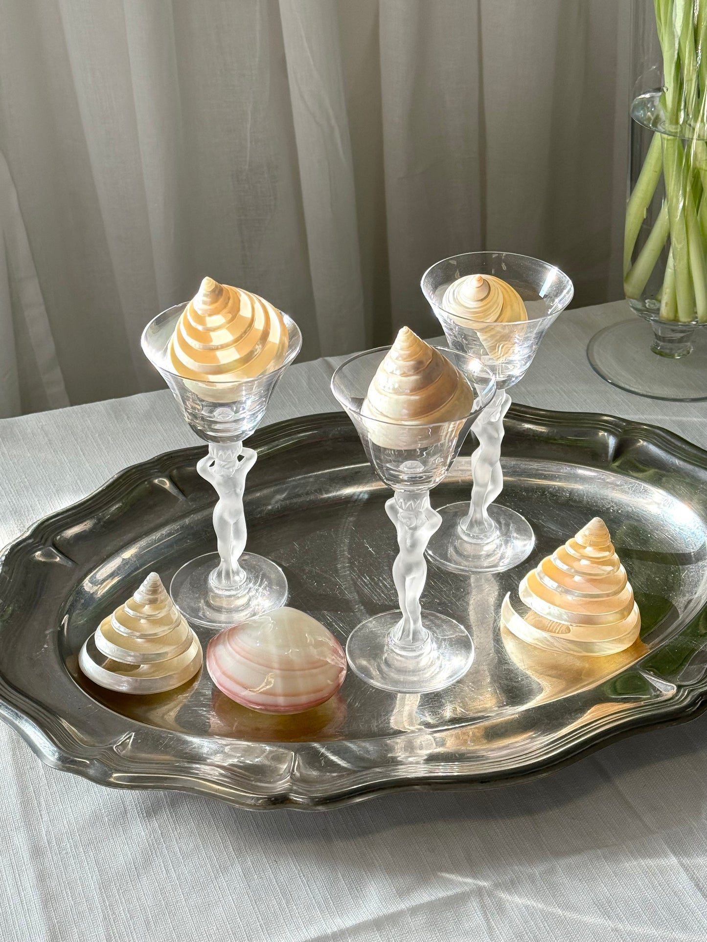 Decor clams